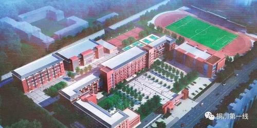 铜川梅乐园今日头条,冬日赏梅，欢乐无限！