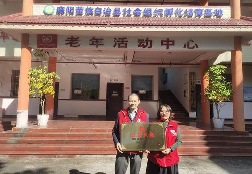 湖南苗族自治县新闻头条,传承与创新并行，苗乡发展新篇章