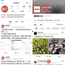 yy去年头条,回顾年度热点事件与精彩瞬间