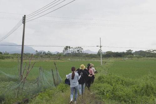 农村网红钓点推荐,网红钓点带你体验田园垂钓乐