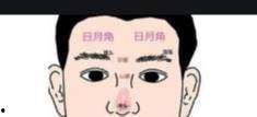 头条日签有什么特征吗,洞察其独特特征的深度解析