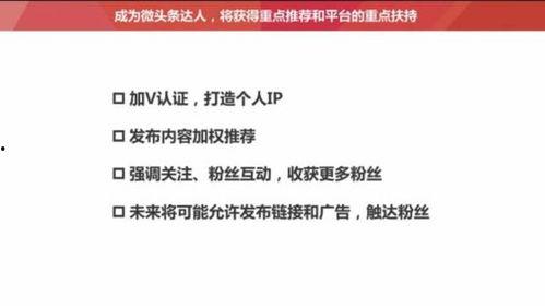 头条号高阅读量的作者,内容策略大揭秘