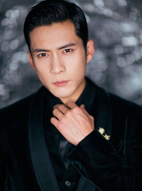 韩给男明星,揭秘男明星的璀璨魅力与辉煌人生