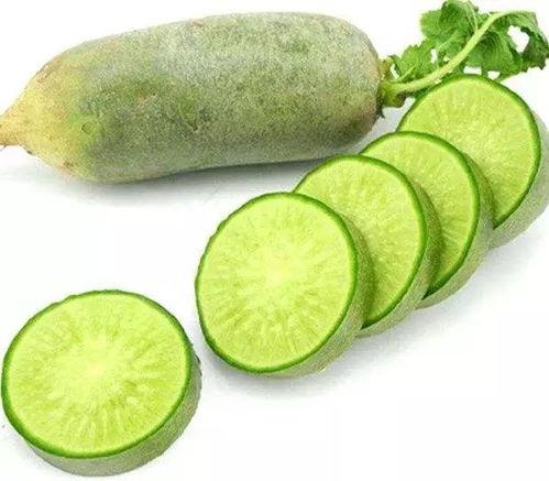 吃黄河蜜瓜可以吃萝卜吗,黄河蜜瓜与萝卜的搭配食用指南