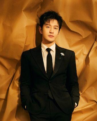 中国 男明星,盘点中国男明星的魅力风采