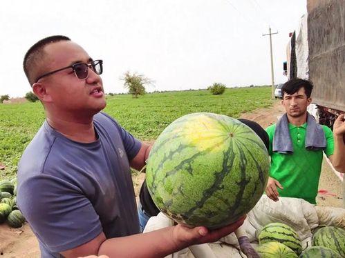 金刚寺吃瓜,一场吃瓜引发的神秘事件