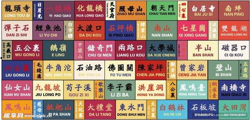 嘉兴网红打卡背景墙