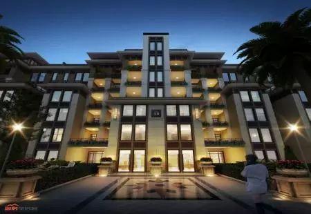 楼市最新爆料音乐,揭秘最新爆料背后的音乐密码