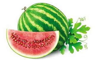 广东冬天吃的瓜