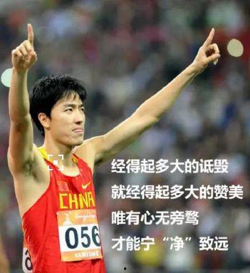 体育明星芸,运动场上的璀璨明星