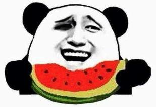 吃瓜群众番茄,揭秘娱乐圈那些事儿