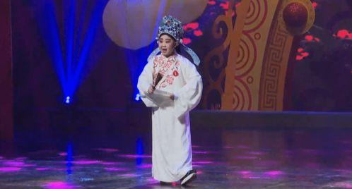 戏曲儿童明星,戏曲界的小戏骨传奇