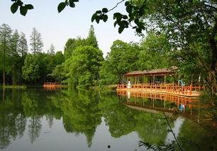 今日头条东湖落雁岛,自然美景与人文历史的交融之地